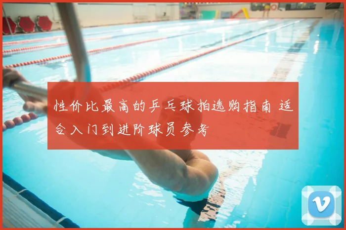 性价比最高的乒乓球拍选购指南 适合入门到进阶球员参考