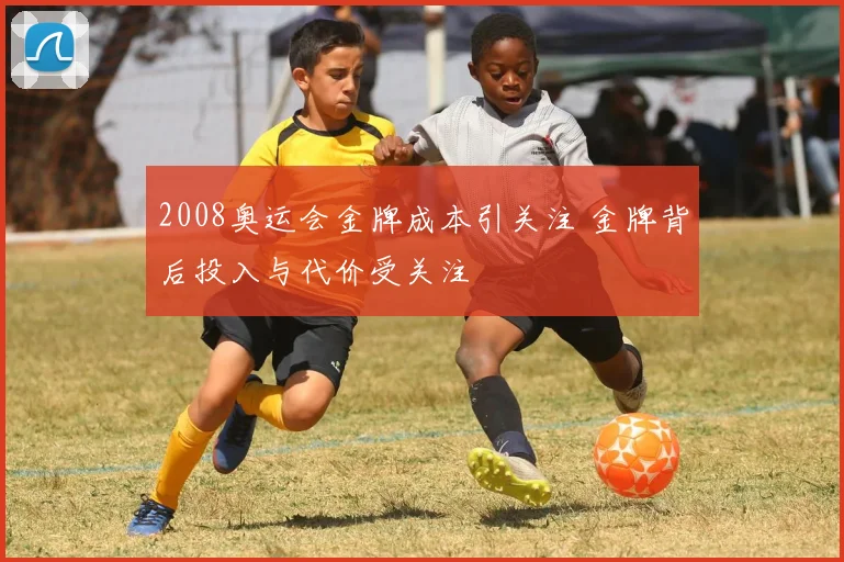 2008奥运会金牌成本引关注 金牌背后投入与代价受关注