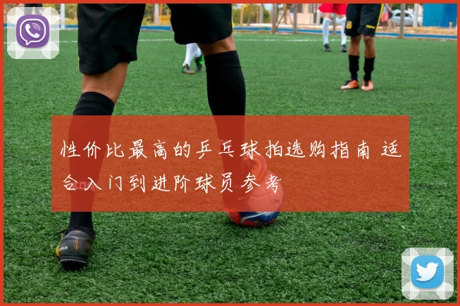 性价比最高的乒乓球拍选购指南 适合入门到进阶球员参考