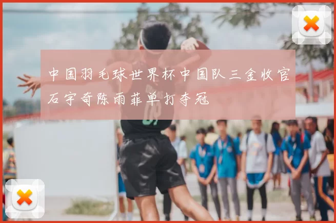 中国羽毛球世界杯中国队三金收官石宇奇陈雨菲单打夺冠