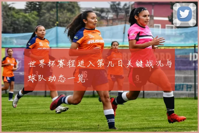 世界杯赛程进入第几日关键战况与球队动态一览