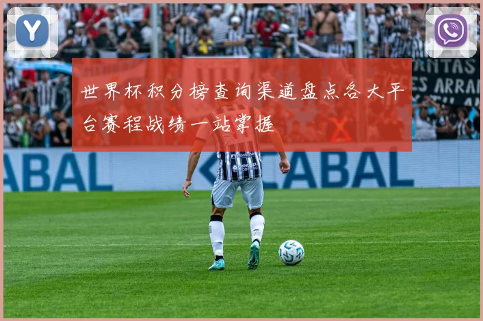世界杯积分榜查询渠道盘点各大平台赛程战绩一站掌握